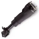 Amortiguador delantero derecho Land Rover Range Rover VOGUE L322 (SIN VDS) 