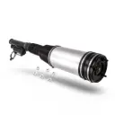 Amortiguador trasero derecho e izquierdo Mercedes-Benz Clase S W220 